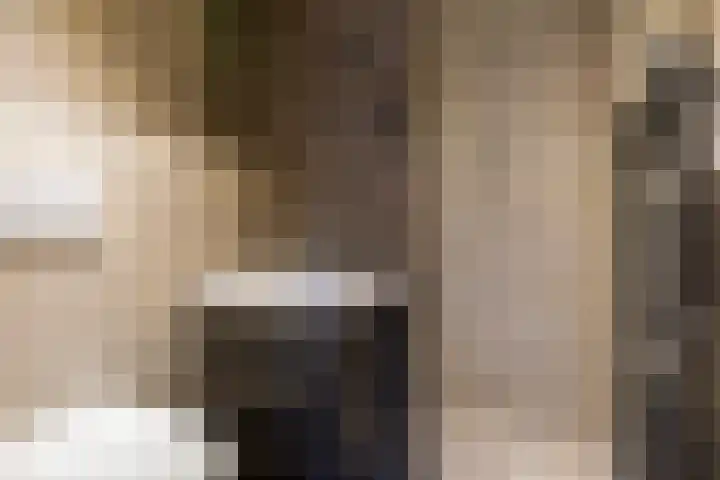 Linkensweg 34 Oss thumbnail 48