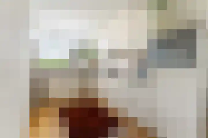 Linnaeusdreef 15 Breukelen thumbnail 19