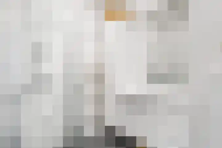 Linnaeusdreef 15 Breukelen thumbnail 27