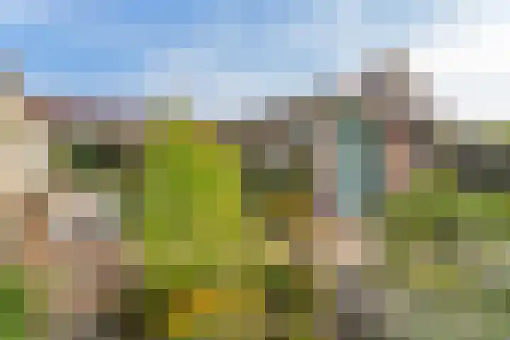 Linnaeusdreef 15 Breukelen thumbnail 32
