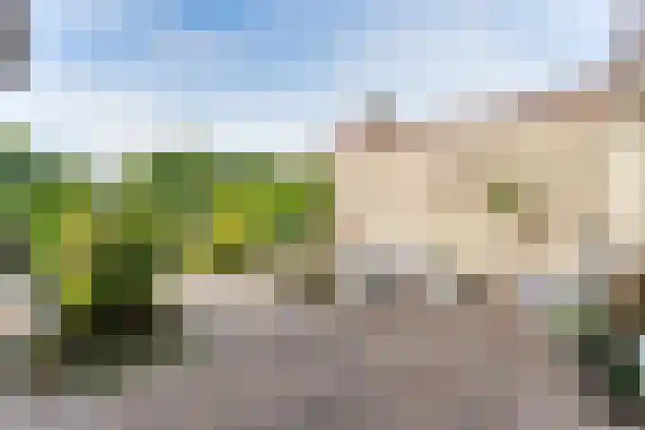 Linnaeusdreef 15 Breukelen thumbnail 34