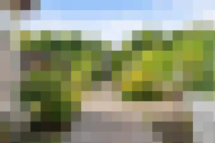 Linnaeusdreef 15 Breukelen thumbnail 36