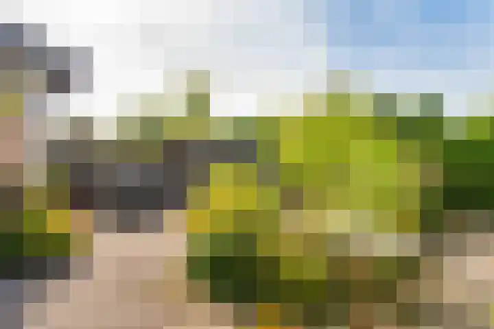 Linnaeusdreef 15 Breukelen thumbnail 37
