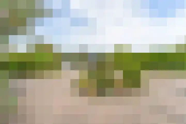 Linnaeusdreef 15 Breukelen thumbnail 41