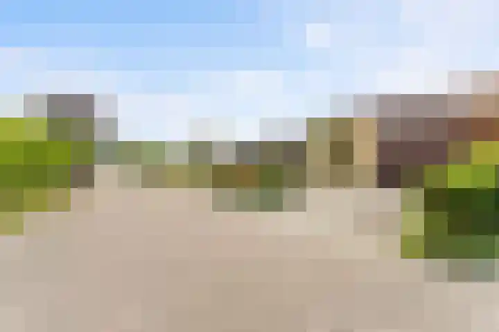 Linnaeusdreef 15 Breukelen thumbnail 42