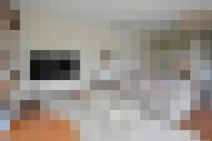 Linnaeusdreef 47 Breukelen thumbnail 12