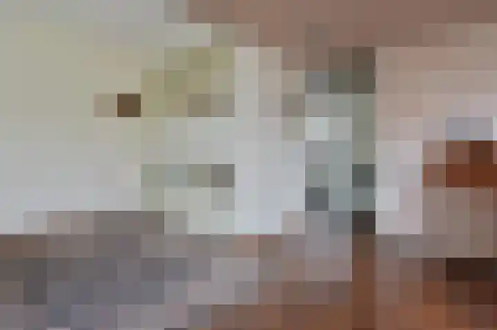 Linnaeusdreef 47 Breukelen thumbnail 13