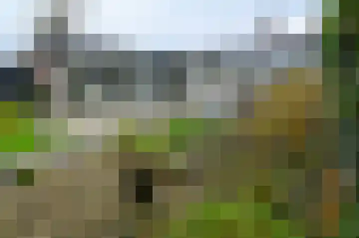 Linnaeusdreef 47 Breukelen thumbnail 27