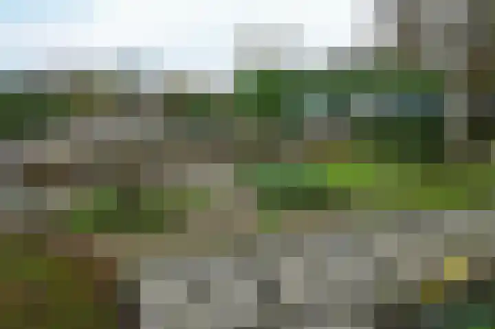 Linnaeusdreef 47 Breukelen thumbnail 34