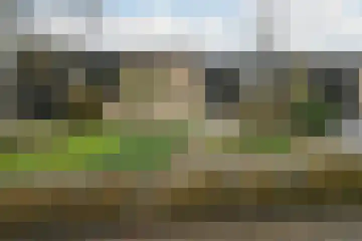 Linnaeusdreef 47 Breukelen thumbnail 4