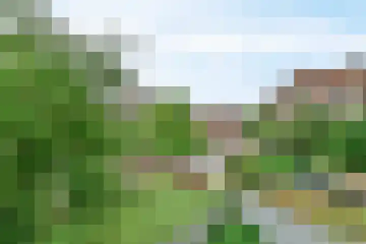 Linnaeuskade 45 A Amsterdam thumbnail 4