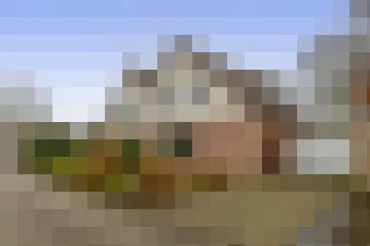 Linnaeuspark 1 A Lisse