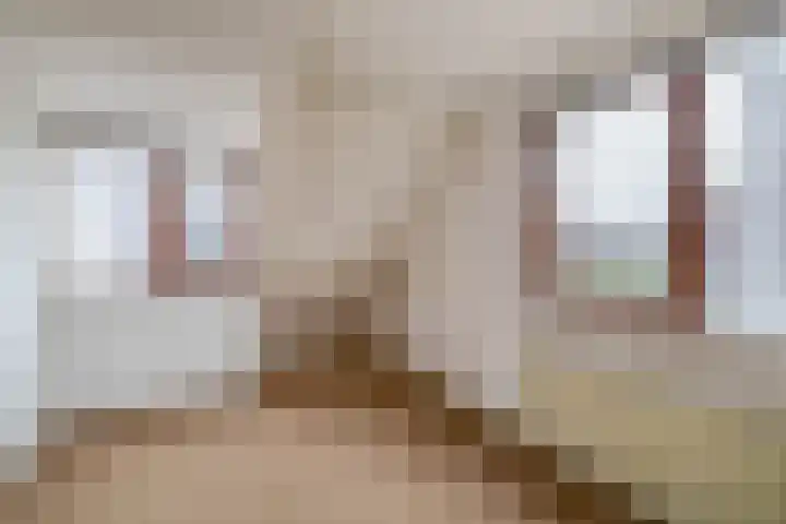 Linnaeuspark 1 A Lisse thumbnail 15