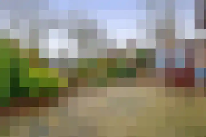 Linnaeuspark 1 A Lisse thumbnail 23