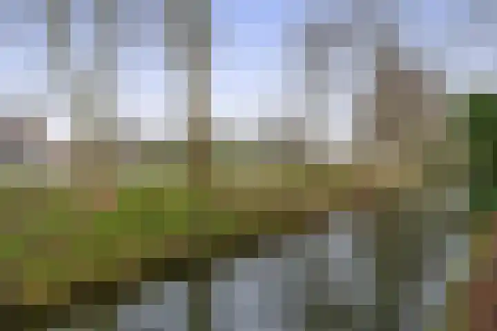 Linnaeuspark 1 A Lisse thumbnail 25