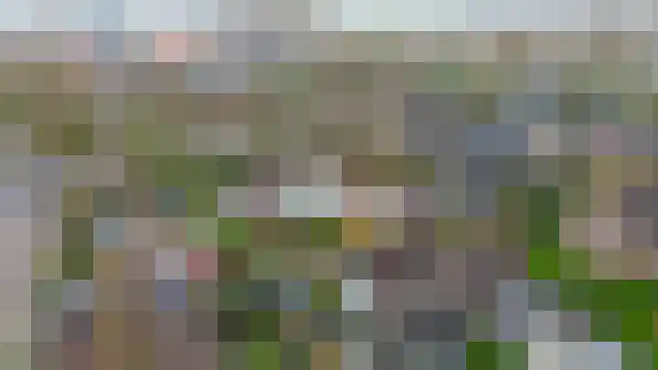 Linnaeuspark 1 A Lisse thumbnail 28