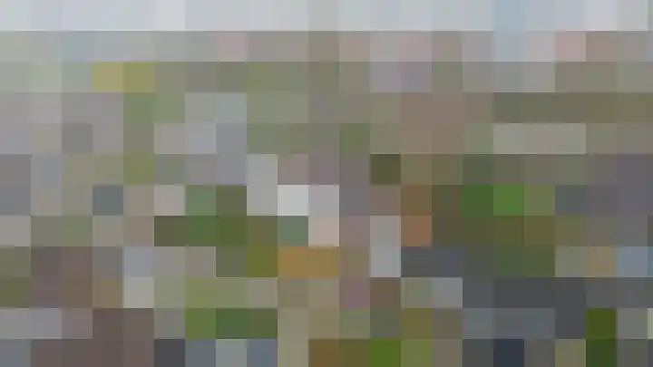 Linnaeuspark 1 A Lisse thumbnail 29