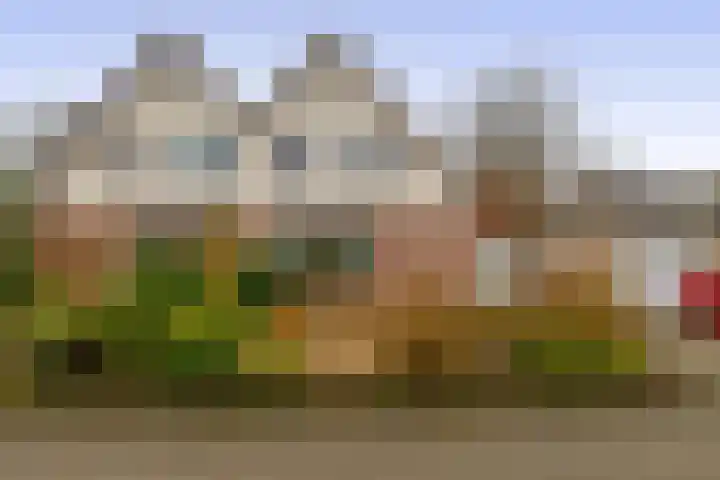 Linnaeuspark 1 A Lisse thumbnail 31