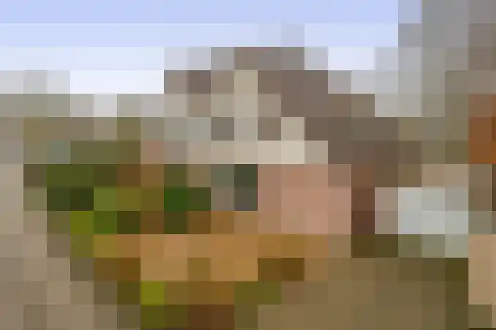 Linnaeuspark 1 A Lisse thumbnail 32