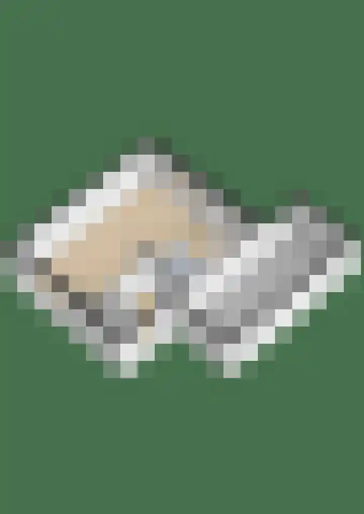 Linnaeuspark 1 A Lisse thumbnail 34