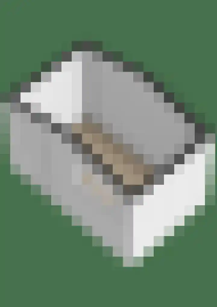 Linnaeuspark 1 A Lisse thumbnail 42