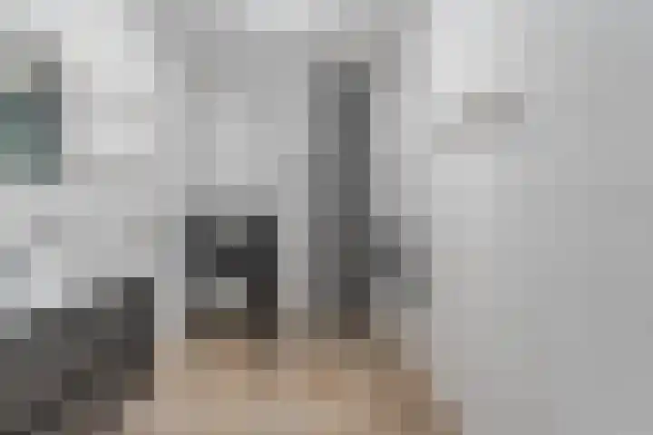 Linnaeusweg 3 Boskoop thumbnail 13