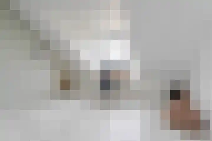Linnaeusweg 3 Boskoop thumbnail 19