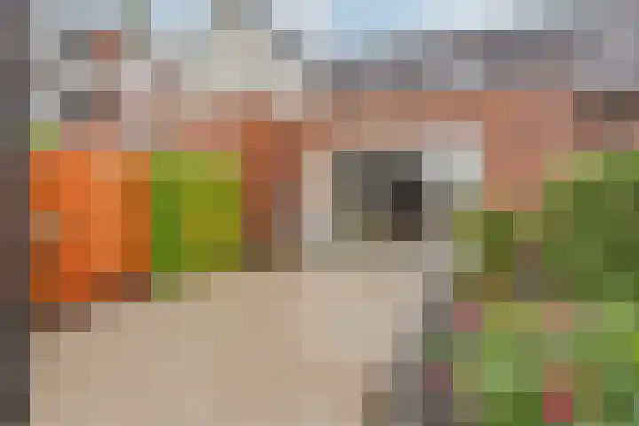 Linnaeusweg 3 Boskoop thumbnail 25