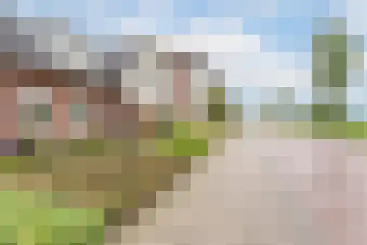 Linnaeusweg 3 Boskoop thumbnail 26
