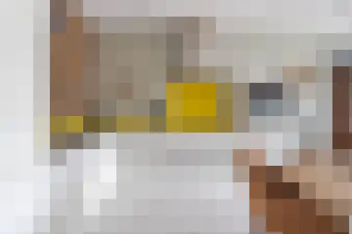 Linnaeusweg 3 Boskoop thumbnail 5