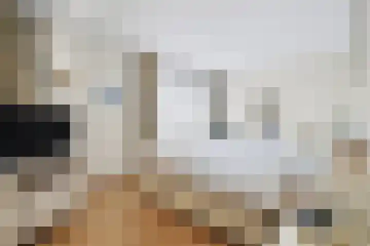 Linnaeusweg 64 Venlo thumbnail 12