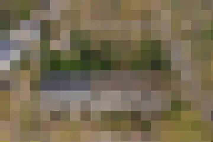 Linnaeusweg 64 Venlo thumbnail 27