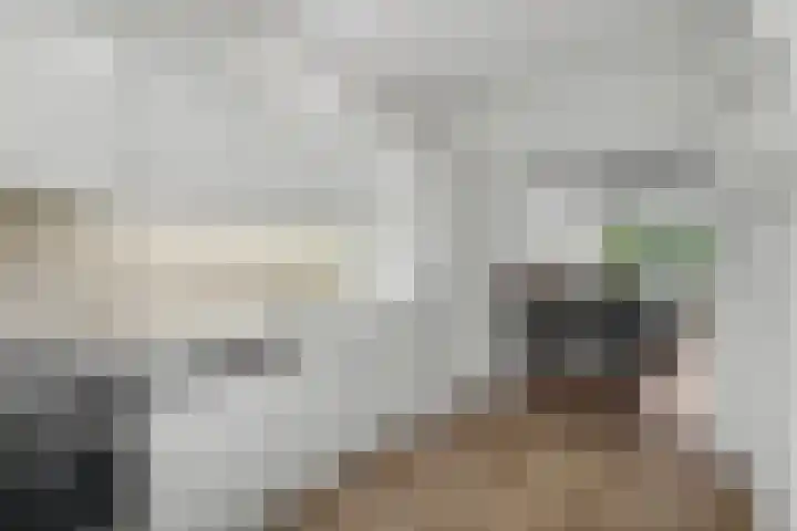 Linnaeusweg 64 Venlo thumbnail 8