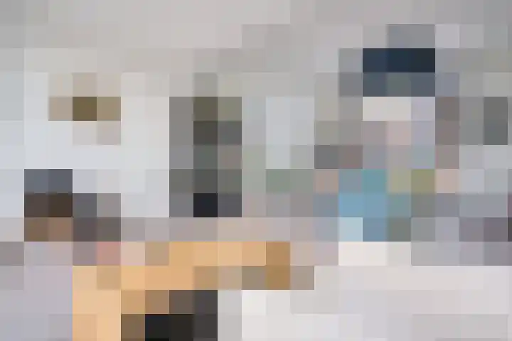 Linnenweversgilde 12 Hasselt thumbnail 18