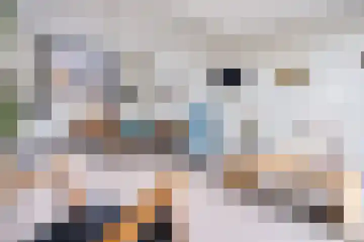 Linnenweversgilde 12 Hasselt thumbnail 19