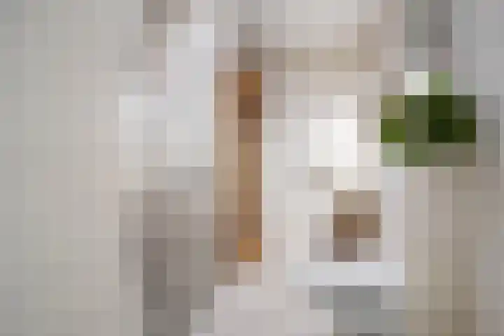 Linnenweversgilde 12 Hasselt thumbnail 22