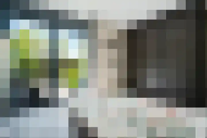 Linnenweversgilde 12 Hasselt thumbnail 29