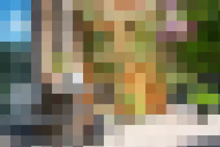 Linnenweversgilde 12 Hasselt thumbnail 33