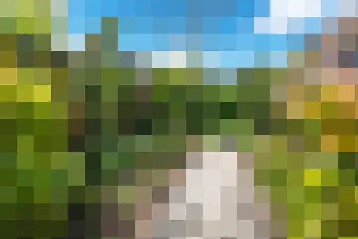 Linnenweversgilde 12 Hasselt thumbnail 36