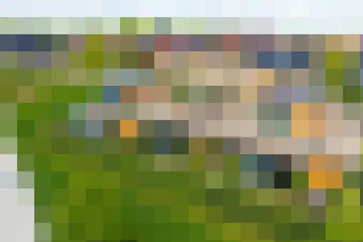 Linnenweversgilde 12 Hasselt thumbnail 39