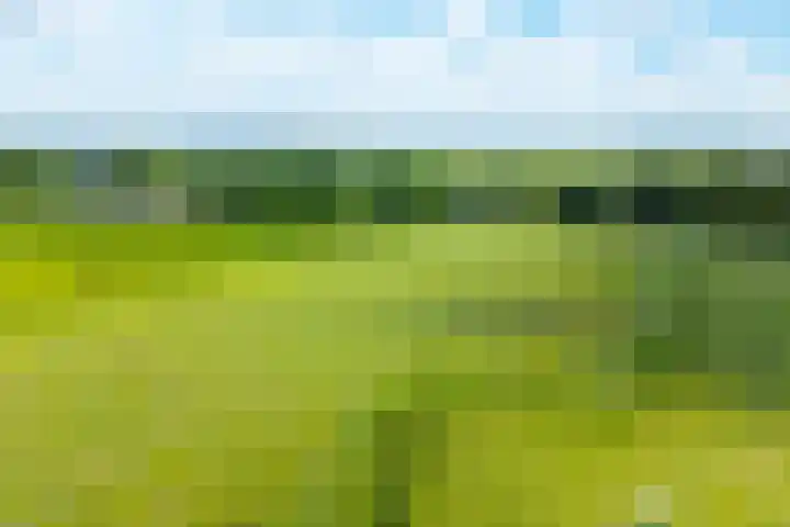 Linnenweversgilde 12 Hasselt thumbnail 42