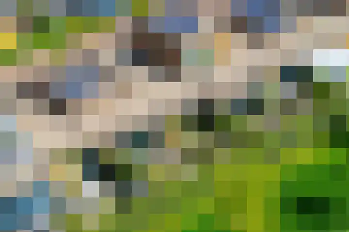 Linnenweversgilde 12 Hasselt thumbnail 43