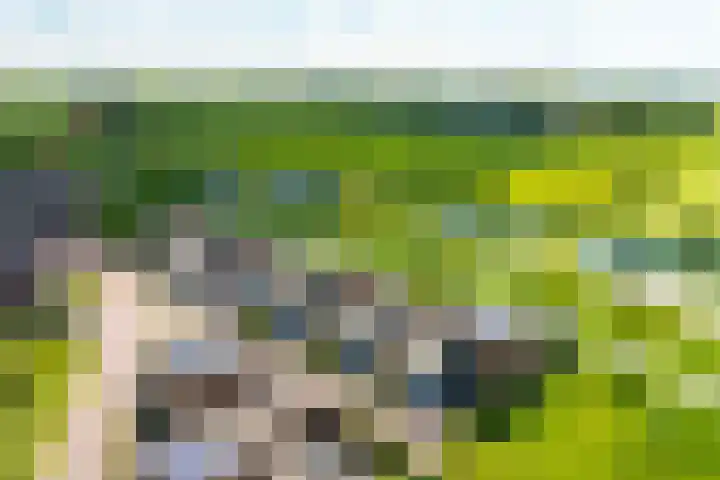 Linnenweversgilde 12 Hasselt thumbnail 45