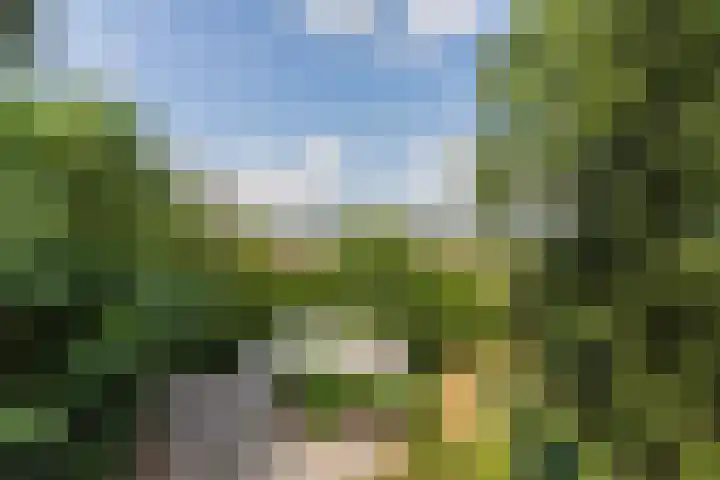 Linnerweg 24 Montfort thumbnail 47