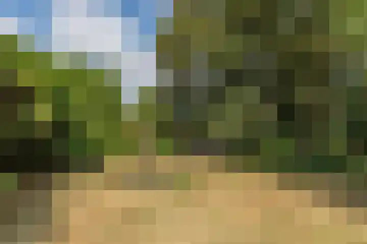 Linnerweg 24 Montfort thumbnail 53