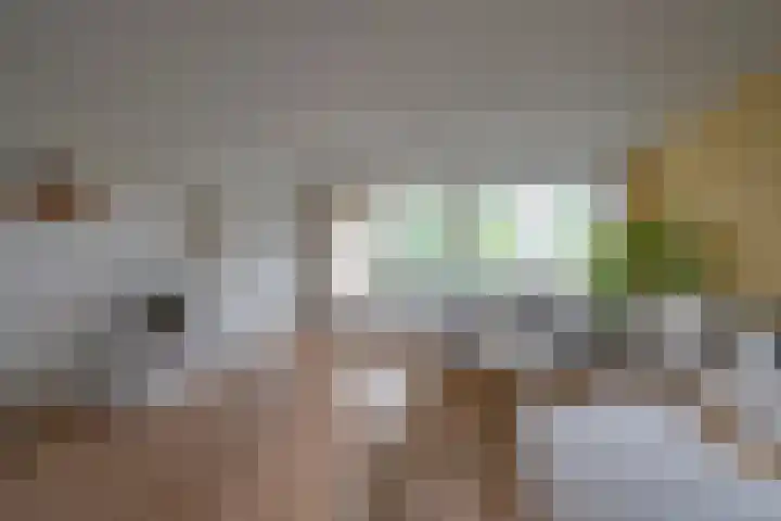 Linschotensingel 1 E C Utrecht foto 2