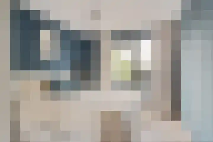 Linschotensingel 1 E C Utrecht thumbnail 21