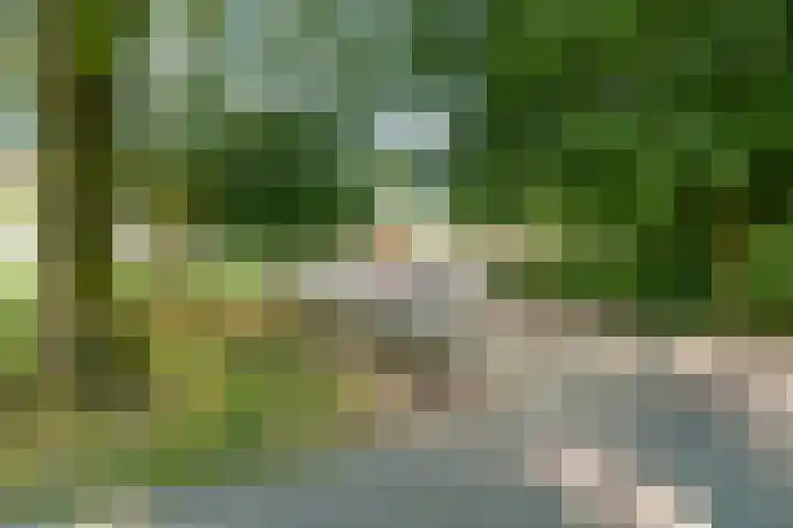 Linschotensingel 1 E C Utrecht thumbnail 27