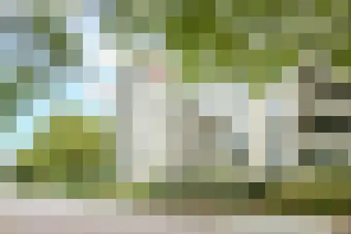 Linschotensingel 1 E C Utrecht thumbnail 33