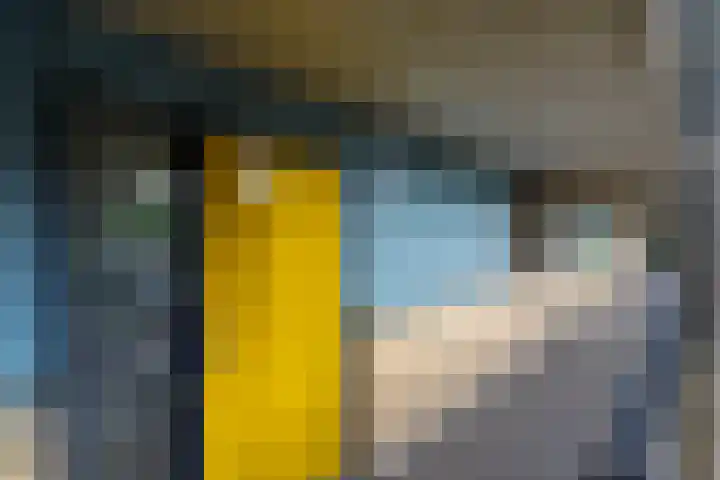 Linschotensingel 1 E C Utrecht thumbnail 9